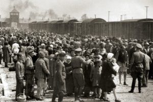 Anumite centre oferă supraviețuitorilor Holocaustului teste ADN pentru a-i ajuta să-și găsească familia