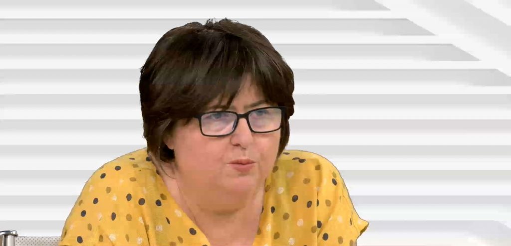 Alina Mungiu Pippidi: „Avem lideri care se pricep la politica europeană? Aceasta este întrebarea. Cât valorează cuvântul lui Bode în Europa, el care este acuzat de plagiat?”