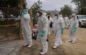 OMS avertizează că „trebuie să ne pregătim” pentru o pandemie de gripă aviară dacă tulpina mamiferelor trece la oameni