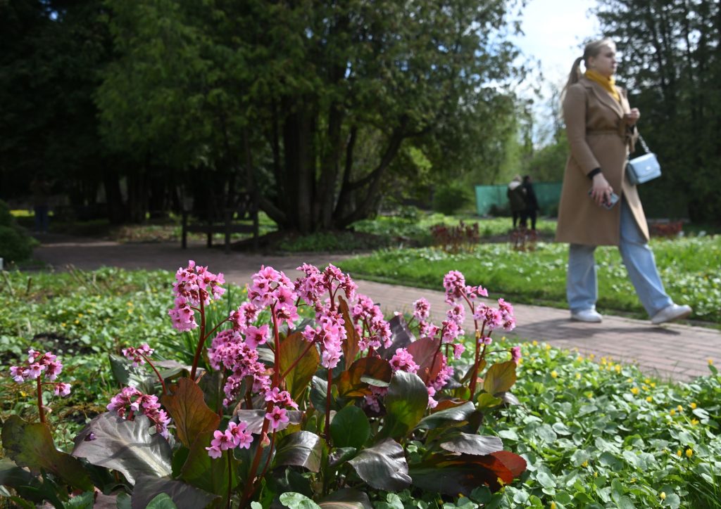 Vremea 1 – 14 mai 2023. Val de ploi, grindină și vijelii, de la mijlocul săptămânii