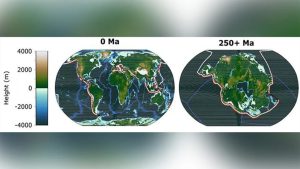 Rasa umană va fi eradicată în viitor. Un nou „supercontinent” va duce la moartea oamenilor și mamiferelor, sugerează un studiu