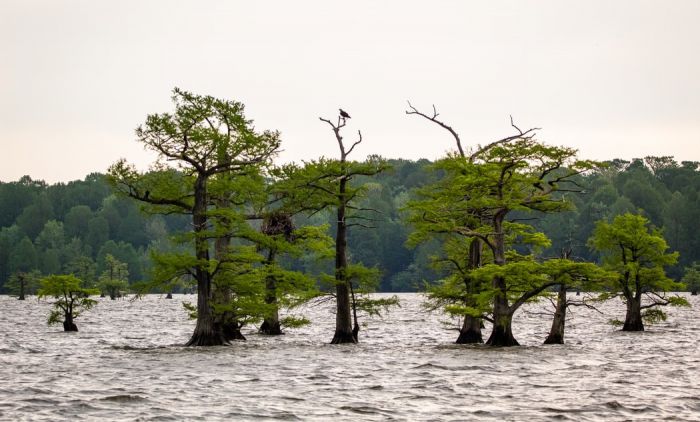 Ziua Internațională a Reducerii Riscurilor la Dezastre. Cât de sigure sunt locuințele românilor