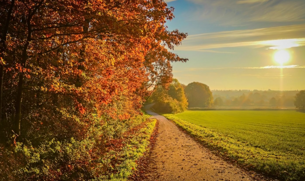 Prognoza meteo pe următoarele două săptămâni. Temperatura va fi mai scăzută decât în mod normal