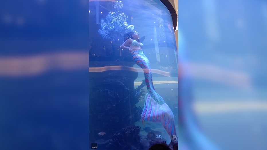 VIDEO. O „sirenă” scapă la limită de înec. Coada costumului a rămas prinsă în acvariul în care înota
