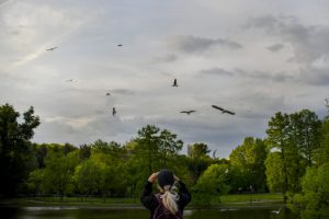 Meteorologii anunţă temperaturi blânde pentru următoarele patru săptămâni