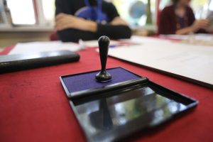 Europenii votează un nou Parlament. Cum este organizat procesul de votare în țări UE