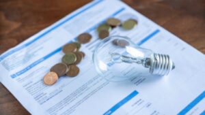 Cât vor crește prețurile când expiră schema de plafonare? Fini: „Nimeni nu știe ce se va întâmpla cu prețurile la energie”