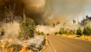 2024 va fi cel catalogat ca cel mai călduros an din întreaga istorie