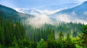 STUDIU. Privitul peisajelor naturale poate reduce durerea fizică, nu doar disconfortul psihologic