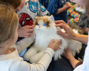MetaCat e pisica robot care combate depresia și anxietatea într-o bibliotecă din Australia