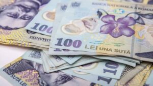 România nu este în nicio criză economică, financiară, valutară, dar dacă cei de la putere vorbesc despre acest lucru şi nu fac nimic cu criza bugetară, vom ajunge repede într-o criză în care ne băgăm singuri