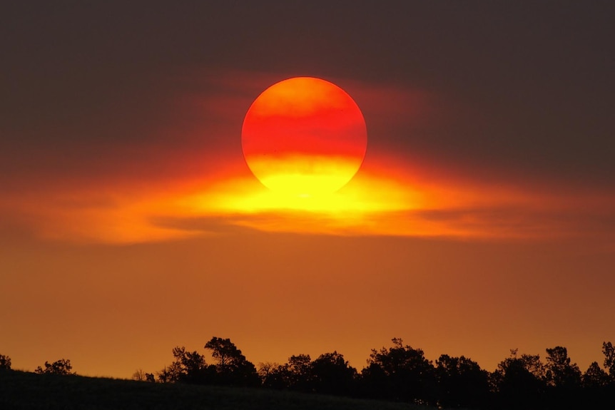 Un val de aer cald se instalează de astăzi în toată țara. Maximele vor ajunge la 36°C în sud și vest