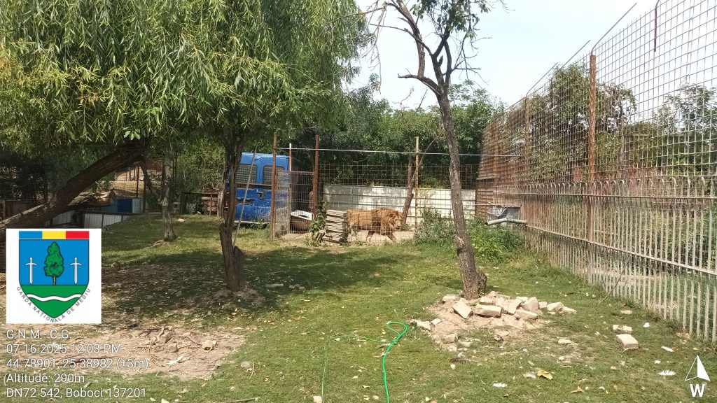 Un bărbat din Dâmbovița și-a făcut grădină zoologică în curte: Cerea bani pentru poze cu tigri și maimuțe