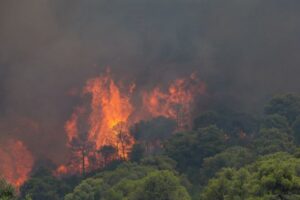 Ai grijă dacă ai o vacanță în Grecia. În ultimele 24 de ore au izbucnit 50 de incendii, iar autoritățile au transmis o alertă de călătorie