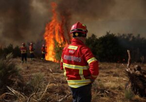 Povestea lui Mircea, românul care a murit în incediul de la Madrid, este relatată în Spania. Bărbatul încerca să salveze caii de la o bază hipică